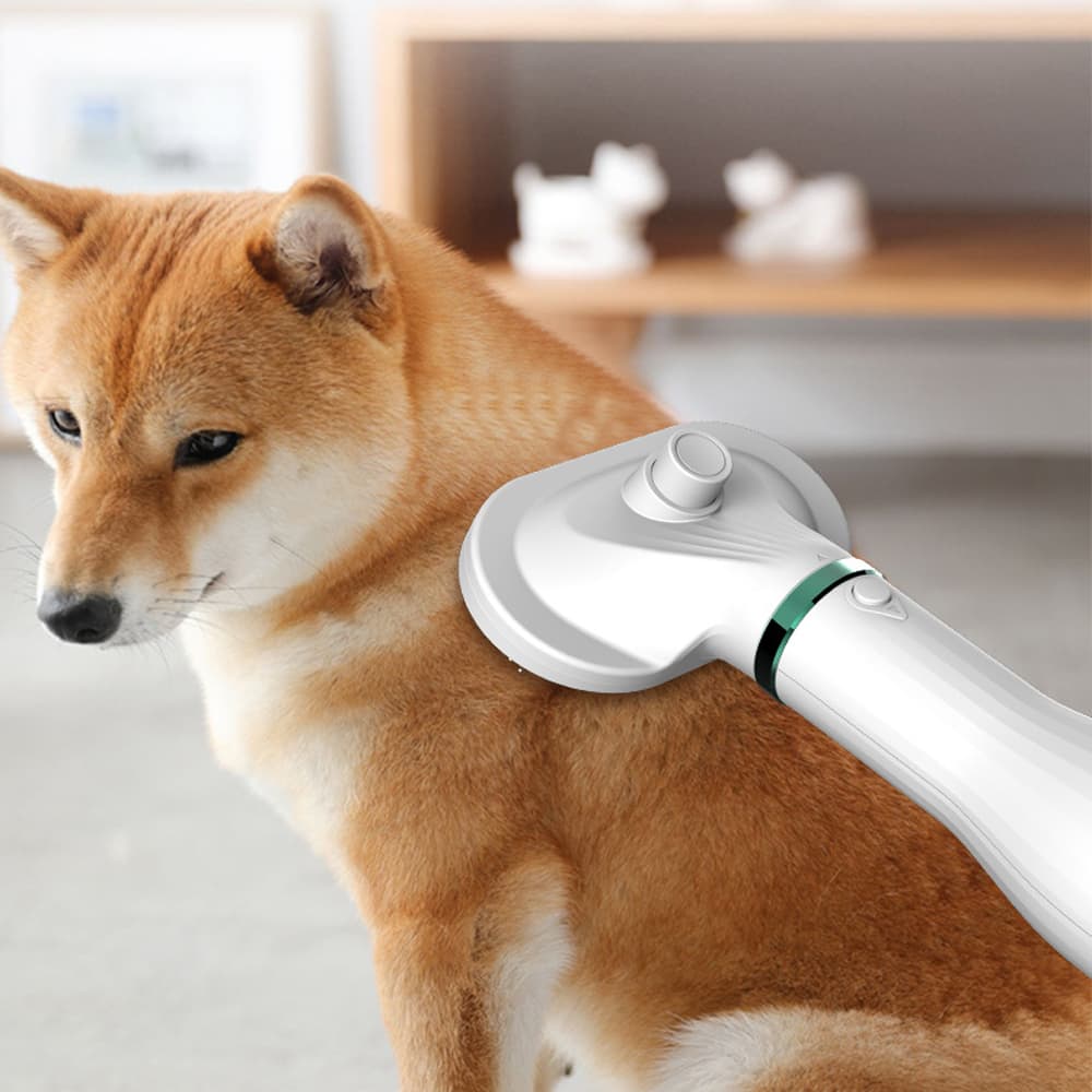Pet Comb Hair Dryer image 7